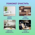 Пятновыводитель-отбеливатель для всей семьи Inseense ТАРА ДАШИ, 600гр 